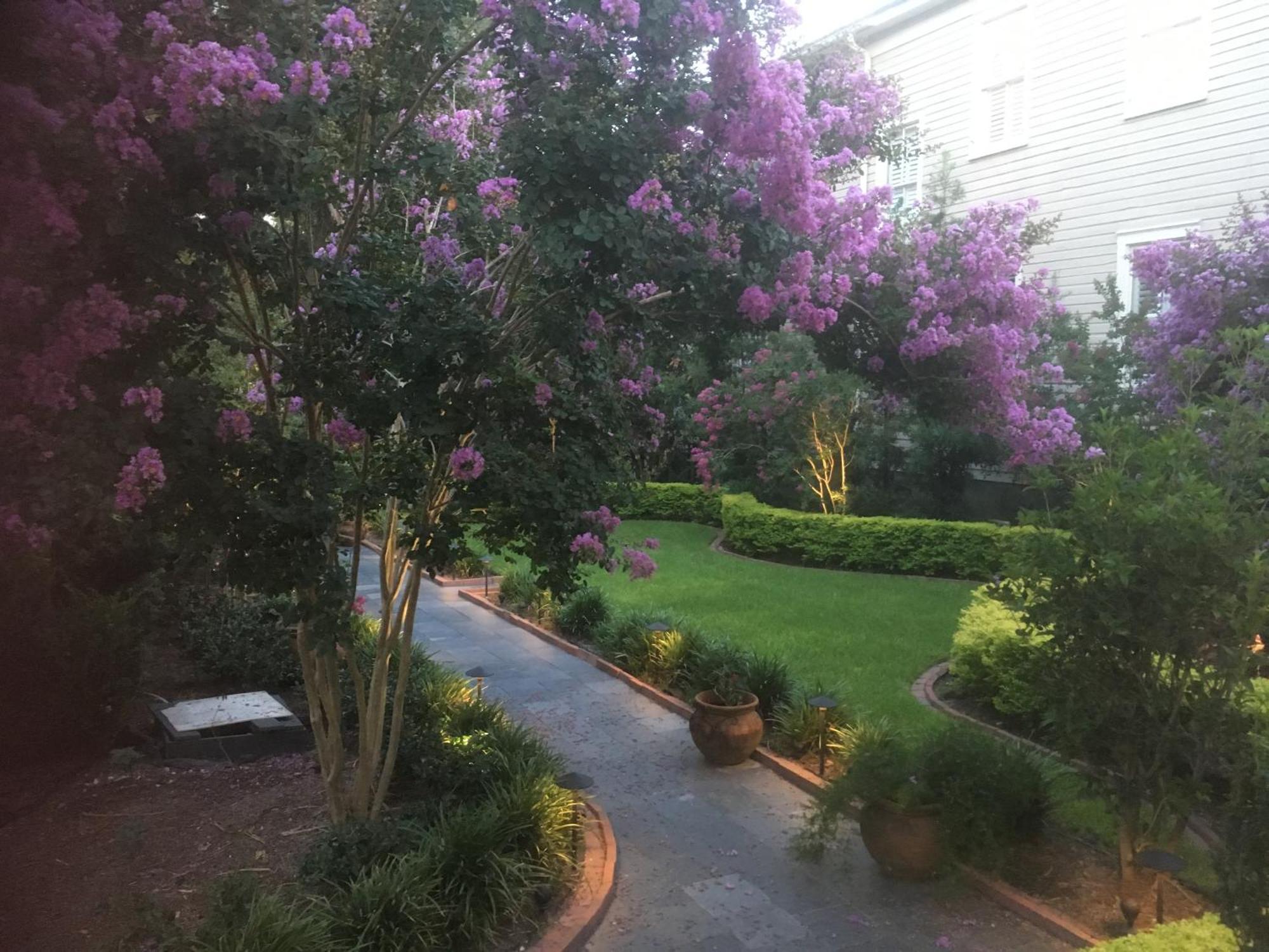 22 Charlotte Bed&Breakfast Charleston Exterior foto