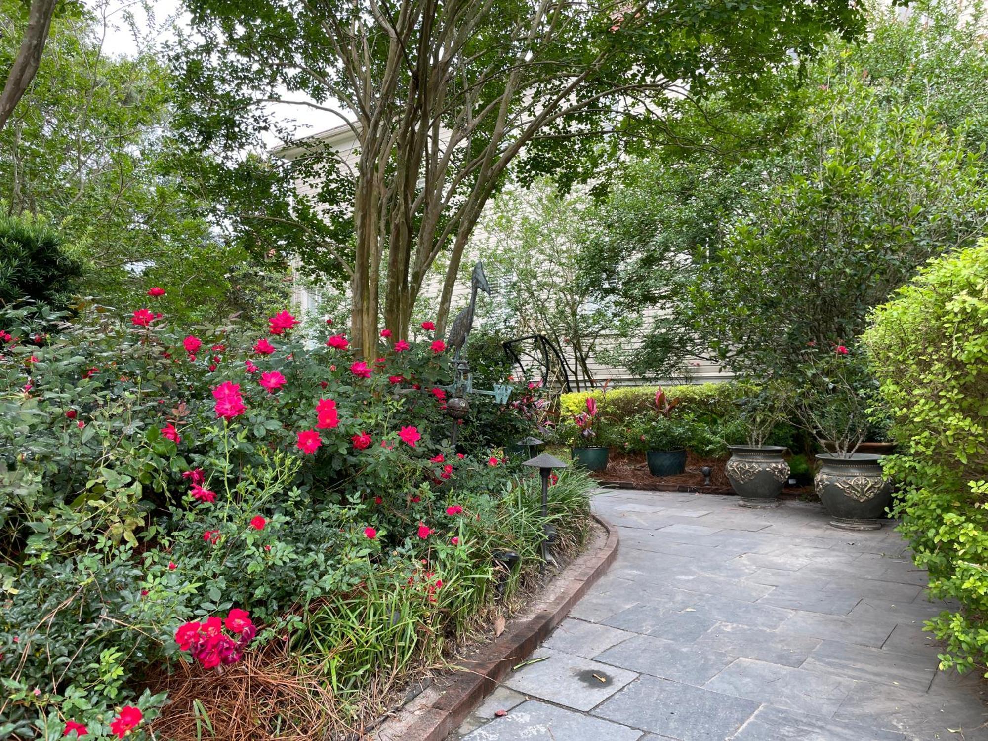 22 Charlotte Bed&Breakfast Charleston Exterior foto